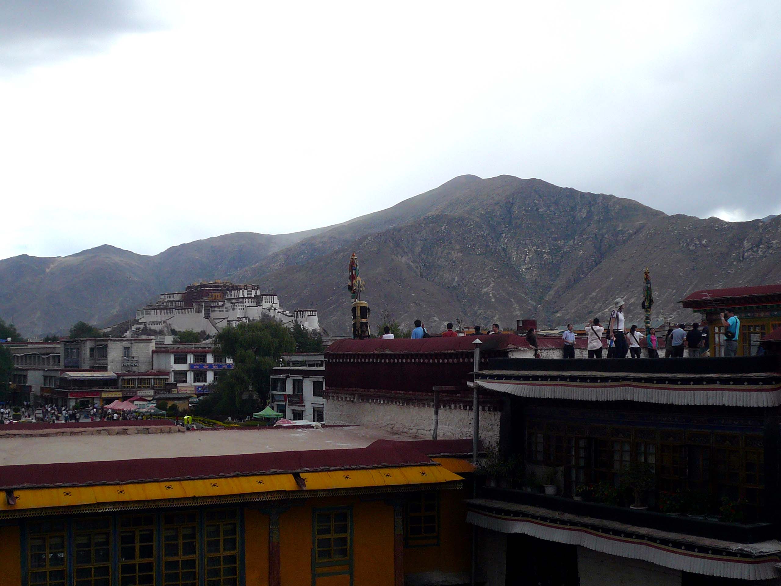 You can actually see the Potala Palace from the temple roof top platform 